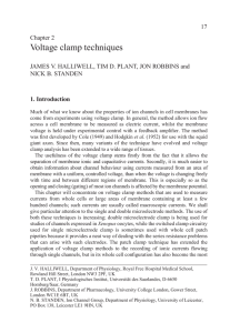 Voltage clamp techniques - The University of Texas at Dallas