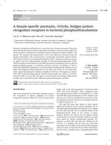 A female-specific pentraxin, CrOctin, bridges pattern recognition