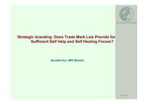 Strategic branding: Does Trade Mark Law Provide for Sufficient Self