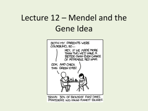 Lecture 12 – Mendel and the Gene Idea