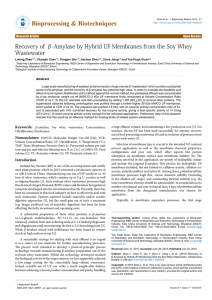 Recovery of β-Amylase by Hybrid UF Membranes from the Soy