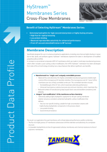 HyStream mPES Membrane