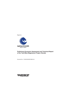 Preliminary Economic Assessment and Technical Report of the Tami
