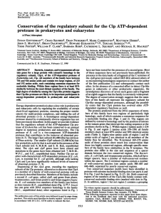 Conservation of the regulatory subunit for the Clp ATP