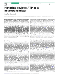 Historical review: ATP as a neurotransmitter