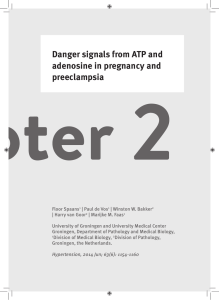 Danger signals from ATP and adenosine in pregnancy and