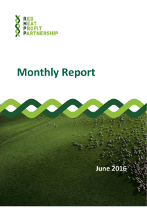 RMPP Monthly Report