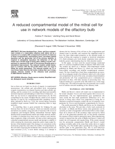 A reduced compartmental model of the mitral cell for use in network