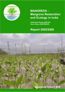 Report 2005/2006 MANGREEN - Mangrove Restoration and