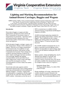 Lighting and Marking Recommendations for Animal
