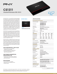 Consumer/Performance SSD: CS1311