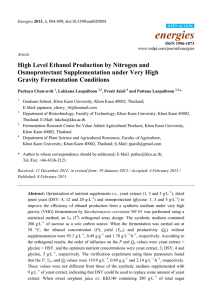 High Level Ethanol Production by Nitrogen and Osmoprotectant