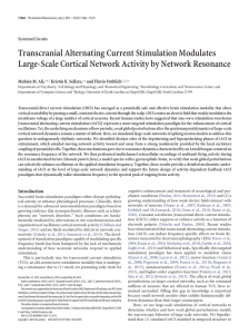 Transcranial Alternating Current Stimulation