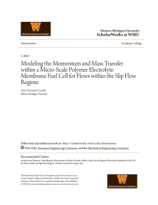 Modeling the Momentum and Mass Transfer within a Micro