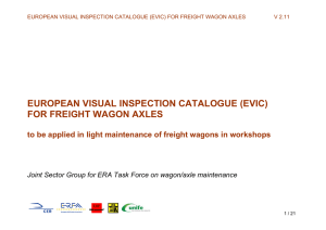 EUROPEAN VISUAL INSPECTION CATALOGUE (EVIC) FOR