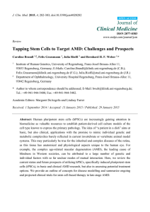 Tapping Stem Cells to Target AMD: Challenges and