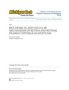 biochemical and cellular mechanisms of retina and retinal pigment