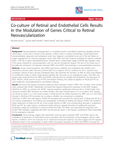 Co-culture of Retinal and Endothelial Cells Results in the