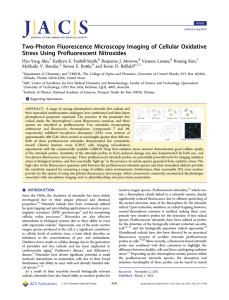 Two-Photon Fluorescence Microscopy Imaging of Cellular Oxidative