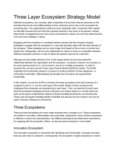 Three Layer Ecosystem Strategy Model