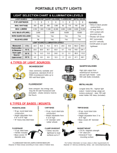 PORTABLE UTILITY LIGHTS