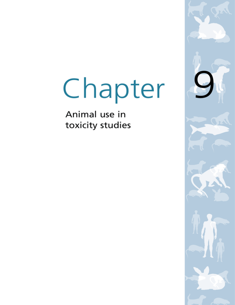 Animal use in toxicity studies