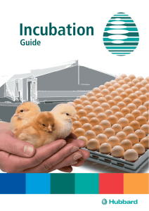 Incubation Guide
