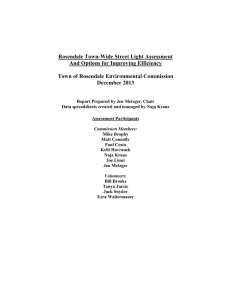 Rosendale Street Light Assessment Report