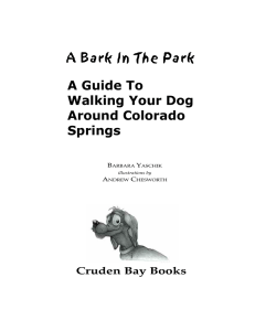 A Guide To Walking Your Dog Around Colorado Springs A Bark In