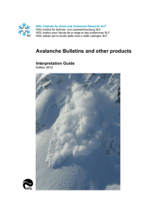 Avalanche Bulletins and other products