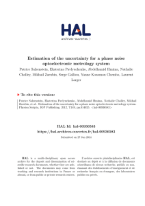 Estimation of the uncertainty for a phase noise optoelectronic