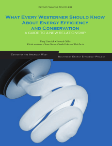 What every Westerner Should Know About energy efficiency and