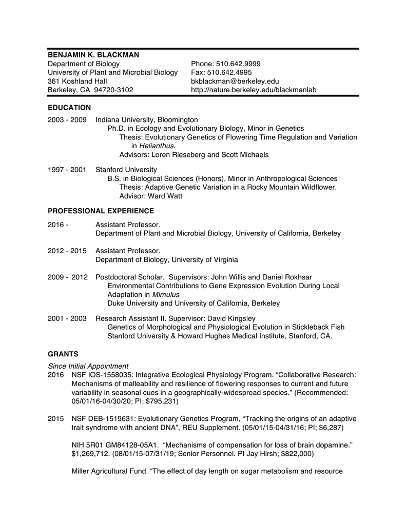 essay on interviews my school library