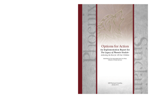 Options for Action: An Implementation Report