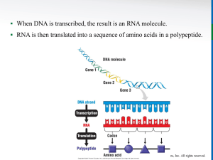 When DNA is transcribed, the result is an RNA molecule. RNA is