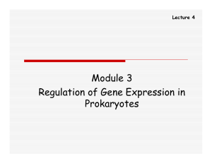 Module 3 Regulation of Gene Expression in Prokaryotes