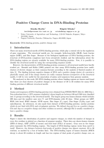 Positive Charge Cores in DNA