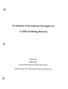 Gerlach, R. Evaluation of enrichment strategies for Cr(III)