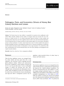 Drivers of Honey Bee Colony Declines and Losses