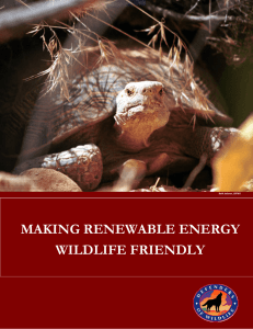 Making Renewable Energy Wildlife Friendly
