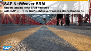 SAP NetWeaver BRM