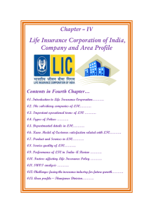 Life Insurance Corporation of India, Company and