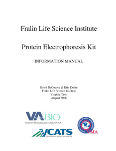 Protein electrophoresis manual
