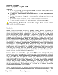 Biology 3A Lab Protein Fingerprinting Page 1 of 6 Biology 3A