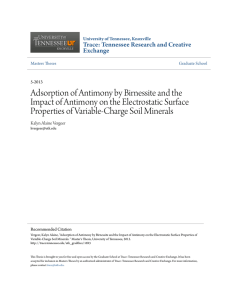 Adsorption of Antimony by Birnessite and the Impact of