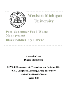 Report - Western Michigan University