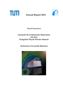 Annual Report 2014, Physik