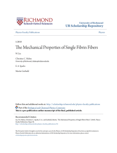 The Mechanical Properties of Single Fibrin Fibers