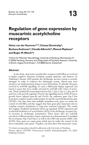 Regulation of gene expression by muscarinic acetylcholine receptors