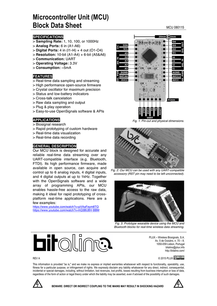 Microcontroller Unit (MCU) Block Data Sheet